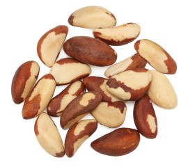 Brazil Nut