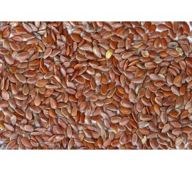 Flax Seeds
