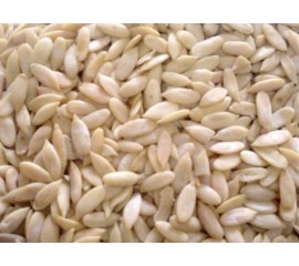 Muskmelon Seeds 