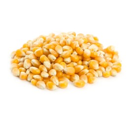 Popcorn Seeds